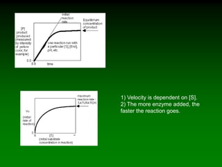 1) Velocity is dependent on [S].
2) The more enzyme added, the
faster the reaction goes.
 