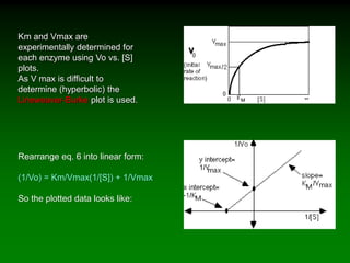 Km and Vmax are
experimentally determined for
each enzyme using Vo vs. [S]
plots.
As V max is difficult to
determine (hyperbolic) the
Lineweaver-Burke plot is used.
Rearrange eq. 6 into linear form:
(1/Vo) = Km/Vmax(1/[S]) + 1/Vmax
So the plotted data looks like:
 