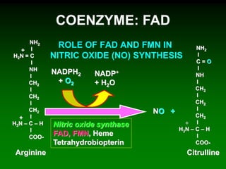 ROLE OF FAD AND FMN IN
NITRIC OXIDE (NO) SYNTHESIS
Arginine
NO +
NADPH2
+ O2
NADP+
+ H2O
Nitric oxide synthase
FAD, FMN, Heme
Tetrahydrobiopterin
COENZYME: FAD
NH2
I
H2N = C
I
NH
I
CH2
I
CH2
I
CH2
I
H3N – C – H
I
COO-
NH2
I
C = O
I
NH
I
CH2
I
CH2
I
CH2
I
H3N – C – H
I
COO-
+
Citrulline
+
+
 