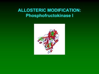 ALLOSTERIC MODIFICATION:
Phosphofructokinase I
 