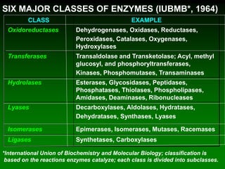 SIX MAJOR CLASSES OF ENZYMES (IUBMB*, 1964)
CLASS EXAMPLE
Oxidoreductases Dehydrogenases, Oxidases, Reductases,
Peroxidases, Catalases, Oxygenases,
Hydroxylases
Transferases Transaldolase and Transketolase; Acyl, methyl
glucosyl, and phosphoryltransferases,
Kinases, Phosphomutases, Transaminases
Hydrolases Esterases, Glycosidases, Peptidases,
Phosphatases, Thiolases, Phospholipases,
Amidases, Deaminases, Ribonucleases
Lyases Decarboxylases, Aldolases, Hydratases,
Dehydratases, Synthases, Lyases
Isomerases Epimerases, Isomerases, Mutases, Racemases
Ligases Synthetases, Carboxylases
*International Union of Biochemistry and Molecular Biology; classification is
based on the reactions enzymes catalyze; each class is divided into subclasses.
 