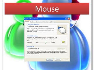Mouse
 