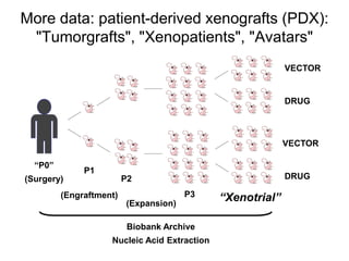 “P0”
P1
P2
Biobank Archive
Nucleic Acid Extraction
“Xenotrial”P3
VECTOR
DRUG
More data: patient-derived xenografts (PDX):
...