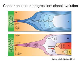Cancer onset and progression: clonal evolution
Wang et al., Nature 2014
 