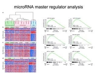 microRNA master regulator analysis
 