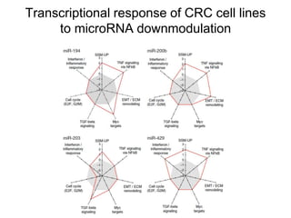 Transcriptional response of CRC cell lines
to microRNA downmodulation
 