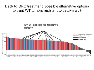 Why WT cell lines are resistant to
therapy?
Back to CRC treatment: possible alternative options
to treat WT tumors resista...