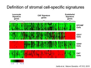 Stromal scores reflect tumor biology
Triple low score
TCGA Digital Slide Archive
 