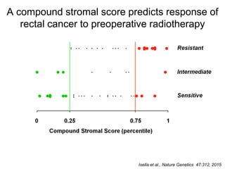 A compound stromal score predicts response of
rectal cancer to preoperative radiotherapy
Isella et al., Nature Genetics 47:312, 2015
 