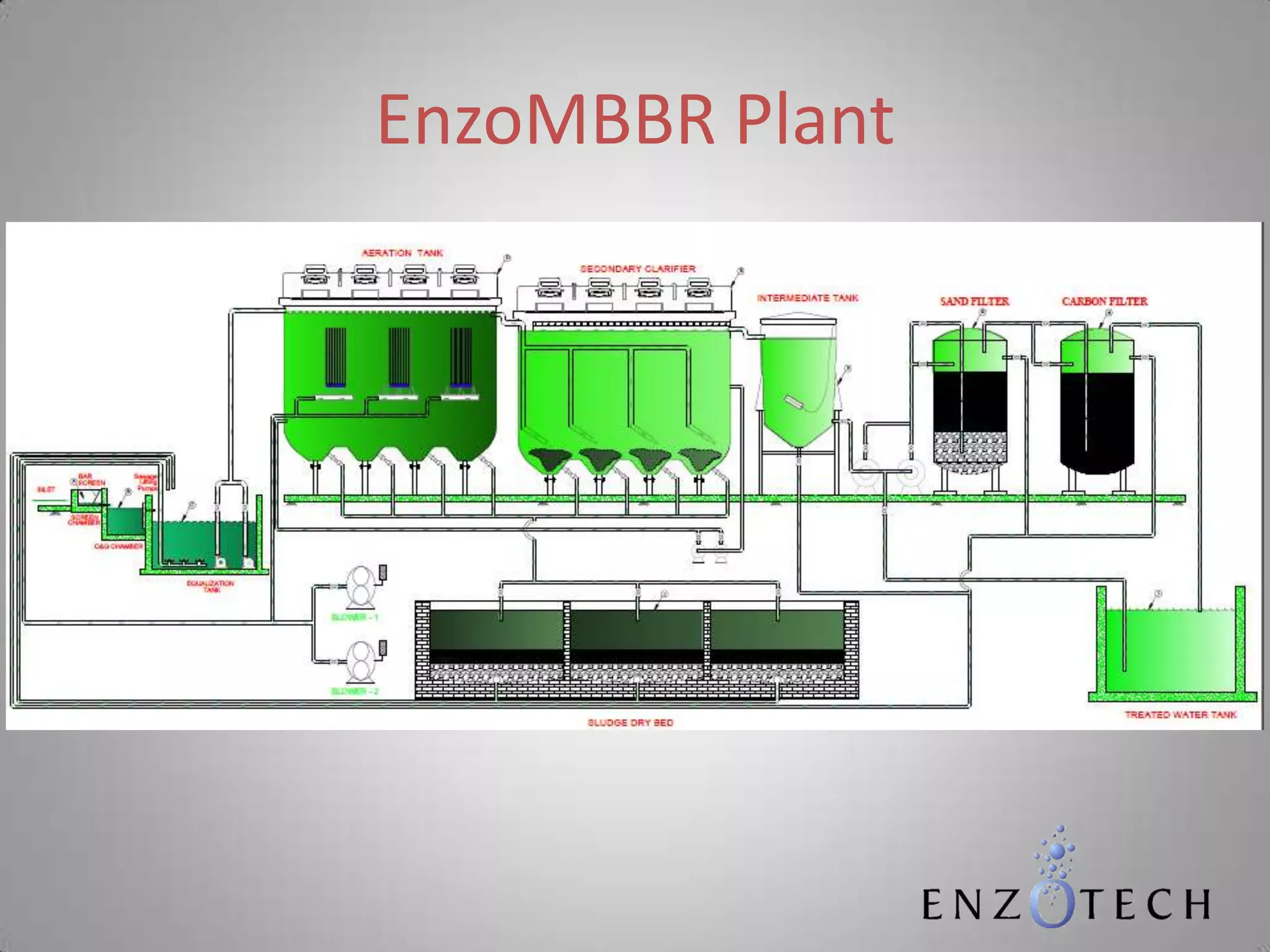 EnzoMBBR Plant
 