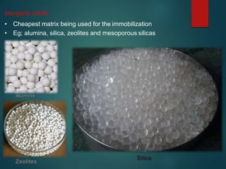 Inorganic solids
• Cheapest matrix being used for the immobilization
• Eg; alumina, silica, zeolites and mesoporous silicas
Silica
Alumina
Zeolites
 