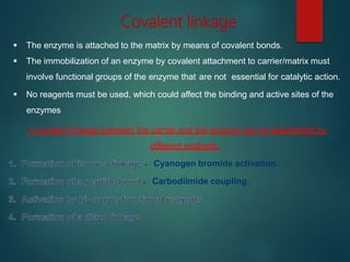 Covalent linkage
 The enzyme is attached to the matrix by means of covalent bonds.
 The immobilization of an enzyme by covalent attachment to carrier/matrix must
involve functional groups of the enzyme that are not essential for catalytic action.
 No reagents must be used, which could affect the binding and active sites of the
enzymes
A covalent linkage between the carrier and the enzyme can be established by
different methods.
- Cyanogen bromide activation.
- Carbodiimide coupling.
 