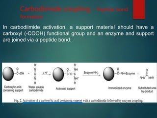 Carbodiimide coupling - Peptide bond
formation
In carbodiimide activation, a support material should have a
carboxyl (-COOH) functional group and an enzyme and support
are joined via a peptide bond.
 