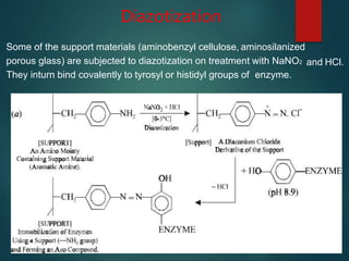 Diazotization
and HCl.
Some of the support materials (aminobenzyl cellulose, aminosilanized
porous glass) are subjected to diazotization on treatment with NaNO2
They inturn bind covalently to tyrosyl or histidyl groups of enzyme.
 