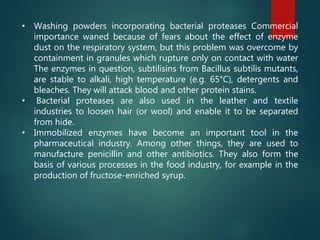 • Washing powders incorporating bacterial proteases Commercial
importance waned because of fears about the effect of enzyme
dust on the respiratory system, but this problem was overcome by
containment in granules which rupture only on contact with water
The enzymes in question, subtilisins from Bacillus subtilis mutants,
are stable to alkali, high temperature (e.g. 65°C), detergents and
bleaches. They will attack blood and other protein stains.
• Bacterial proteases are also used in the leather and textile
industries to loosen hair (or wool) and enable it to be separated
from hide.
• Immobilized enzymes have become an important tool in the
pharmaceutical industry. Among other things, they are used to
manufacture penicillin and other antibiotics. They also form the
basis of various processes in the food industry, for example in the
production of fructose-enriched syrup.
 