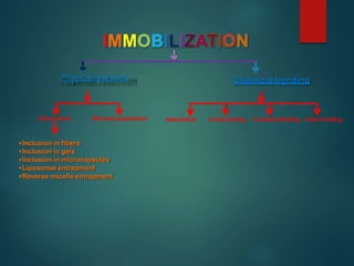 Entrapment Microencapsulation
Physical retention Chemical bonding
Inclusion in fibers
Inclusion in gels
Inclusion in microcapsules
Liposomal entrapment
Reverse micelle entrapment
Adsorption Cross linking Covalent binding Ionic binding
 