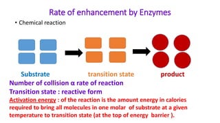 Rate of enhancement by Enzymes
• Chemical reaction
Substrate transition state product
Number of collision α rate of reacti...