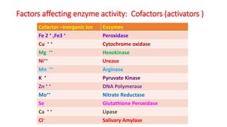 Factors affecting enzyme activity: Cofactors (activators )
Cofactor –inorganic ion Enzymes
Fe 2 ⁺ ,Fe3 ⁺ Peroxidase
Cu ⁺ ⁺...