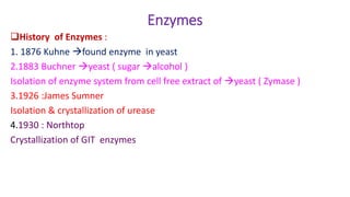 Enzymology properties & classsification | PDF