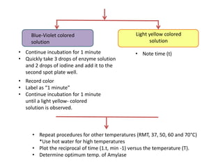 • Continue incubation for 1 minute
• Quickly take 3 drops of enzyme solution
and 2 drops of iodine and add it to the
second spot plate well.
• Record color
• Label as “1 minute”
• Continue incubation for 1 minute
until a light yellow- colored
solution is observed.
Light yellow colored
solution
• Repeat procedures for other temperatures (RMT, 37, 50, 60 and 70°C)
*Use hot water for high temperatures
• Plot the reciprocal of time (1.t, min -1) versus the temperature (T).
• Determine optimum temp. of Amylase
Blue-Violet colored
solution
• Note time (t)
 
