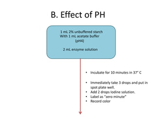 B. Effect of PH
1 mL 2% unbuffered starch
With 1 mL acetate buffer
(pH4)
2 mL enzyme solution
• Incubate for 10 minutes in 37° C
• Immediately take 3 drops and put in
spot plate well.
• Add 2 drops Iodine solution.
• Label as “zero minute”
• Record color
 