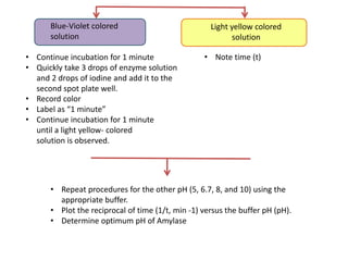 Blue-Violet colored
solution
Light yellow colored
solution
• Continue incubation for 1 minute
• Quickly take 3 drops of enzyme solution
and 2 drops of iodine and add it to the
second spot plate well.
• Record color
• Label as “1 minute”
• Continue incubation for 1 minute
until a light yellow- colored
solution is observed.
• Note time (t)
• Repeat procedures for the other pH (5, 6.7, 8, and 10) using the
appropriate buffer.
• Plot the reciprocal of time (1/t, min -1) versus the buffer pH (pH).
• Determine optimum pH of Amylase
 