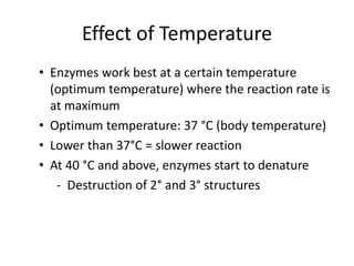 Effect of Temperature
• Enzymes work best at a certain temperature
(optimum temperature) where the reaction rate is
at maximum
• Optimum temperature: 37 °C (body temperature)
• Lower than 37°C = slower reaction
• At 40 °C and above, enzymes start to denature
- Destruction of 2° and 3° structures
 