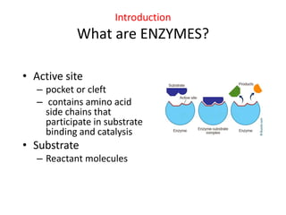 Introduction
What are ENZYMES?
• Active site
– pocket or cleft
– contains amino acid
side chains that
participate in substrate
binding and catalysis
• Substrate
– Reactant molecules
 