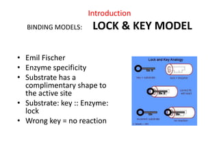 Introduction
BINDING MODELS: LOCK & KEY MODEL
• Emil Fischer
• Enzyme specificity
• Substrate has a
complimentary shape to
the active site
• Substrate: key :: Enzyme:
lock
• Wrong key = no reaction
 