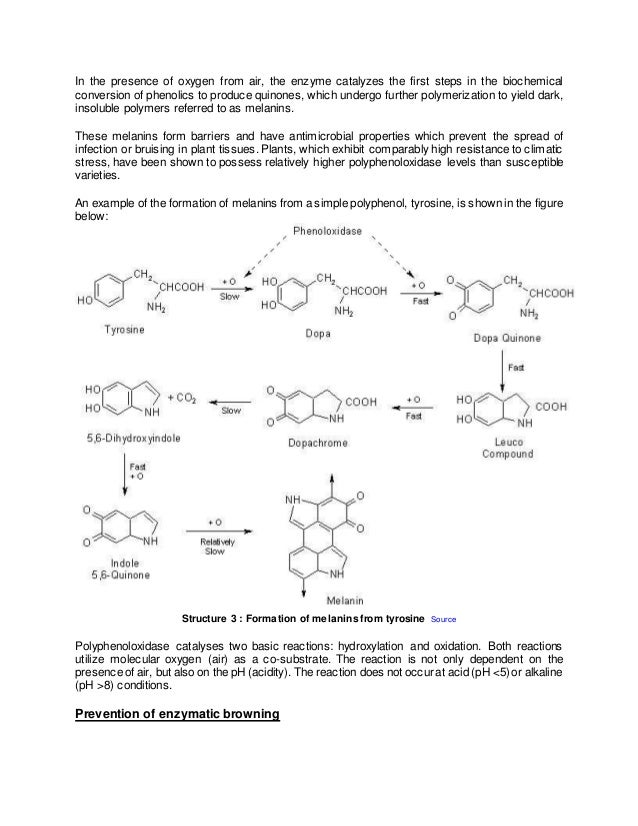 Enzymatic browning