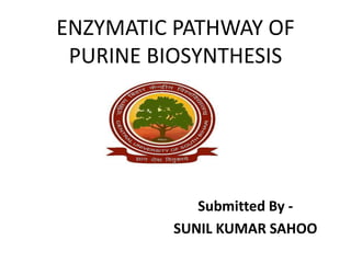 ENZYMATIC PATHWAY OF
PURINE BIOSYNTHESIS
Submitted By -
SUNIL KUMAR SAHOO
 