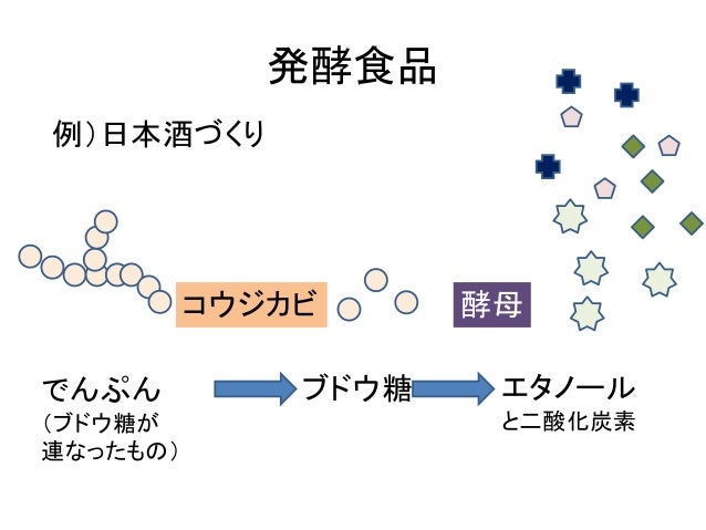 酵素と健康