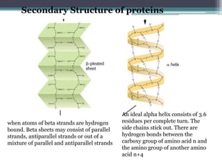 Enzyme | PPTX