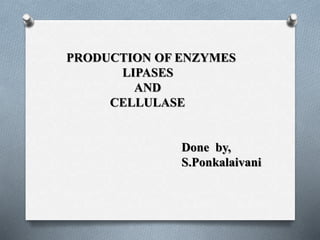 PRODUCTION OF ENZYMES
LIPASES
AND
CELLULASE
Done by,
S.Ponkalaivani
 