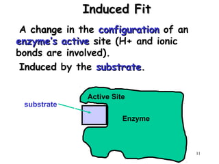 Induced FitInduced Fit
A changechange in the configurationconfiguration of an
enzyme’s activeenzyme’s active sitesite (H+ and ionic
bonds are involved).
InducedInduced by the substratesubstrate..
11
Enzyme
Active Site
substrate
induced fit
 