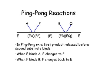 Ping-Pong Reactions
E (EA)(FP) (F) (FB)(EQ) E
A BP Q
•In Ping-Pong rxns first product released before
second substrate binds
•When E binds A, E changes to F
•When F binds B, F changes back to E
 