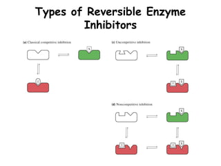 Types of Reversible Enzyme
Inhibitors
 