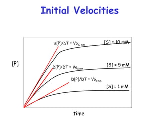 Initial Velocities
[S] = 1 mM
[S] = 5 mM
[S] = 10 mM∆[P]/∆T = Vo10 mM
D[P]/DT = Vo5 mM
D[P]/DT = Vo1 mM
[P]
time
 