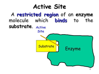Active SiteActive Site
A restricted regionrestricted region of an enzymeenzyme
molecule which bindsbinds to the
substratesubstrate.
9
Enzyme
Substrate
Active
Site
 