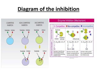 Cell Inhibition Sign Enzyme CSIR -NET | PPTX