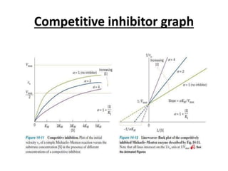 Compound Inhibitor Data Graph Enzyme CSIR -NET | PPTX