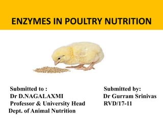 ENZYMES IN POULTRY NUTRITION
Submitted to : Submitted by:
Dr D.NAGALAXMI Dr Gurram Srinivas
Professor & University Head RVD/17-11
Dept. of Animal Nutrition
 