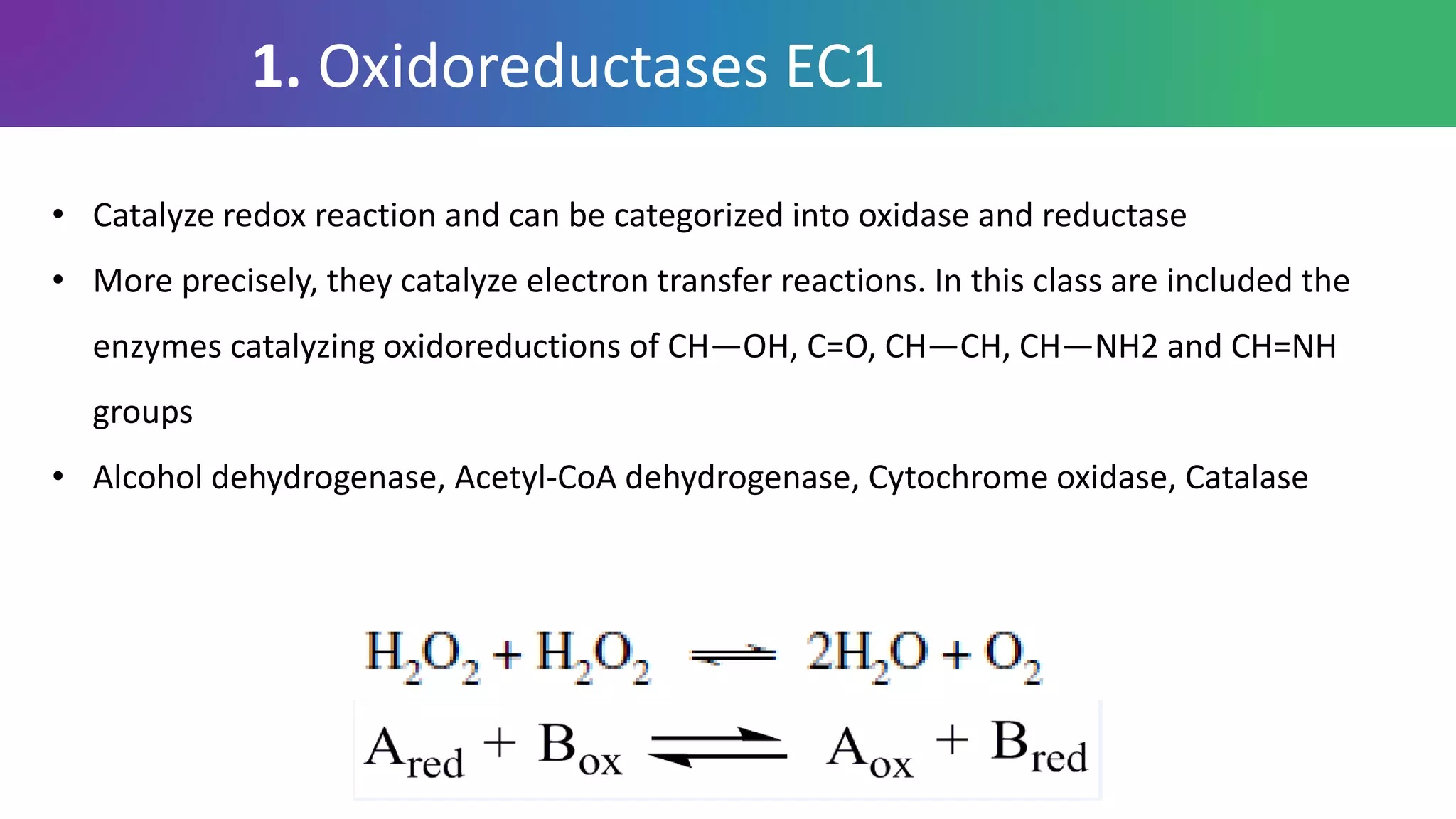 1. Oxidoreductases EC1
• Catalyze redox reaction and can be categorized into oxidase and reductase
• More precisely, they catalyze electron transfer reactions. In this class are included the
enzymes catalyzing oxidoreductions of CH—OH, C=O, CH—CH, CH—NH2 and CH=NH
groups
• Alcohol dehydrogenase, Acetyl-CoA dehydrogenase, Cytochrome oxidase, Catalase
 