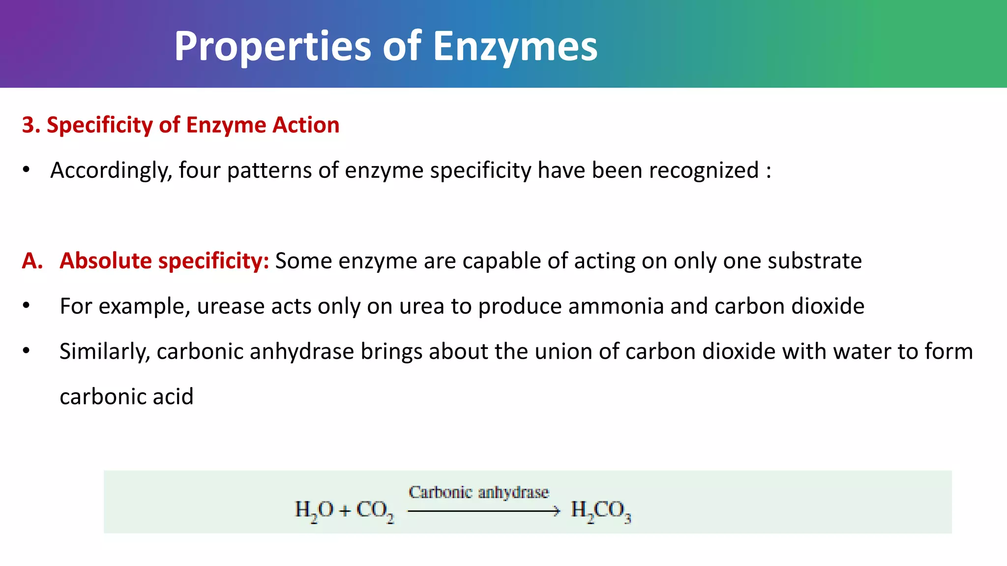 Properties of Enzymes
3. Specificity of Enzyme Action
• Accordingly, four patterns of enzyme specificity have been recognized :
A. Absolute specificity: Some enzyme are capable of acting on only one substrate
• For example, urease acts only on urea to produce ammonia and carbon dioxide
• Similarly, carbonic anhydrase brings about the union of carbon dioxide with water to form
carbonic acid
 