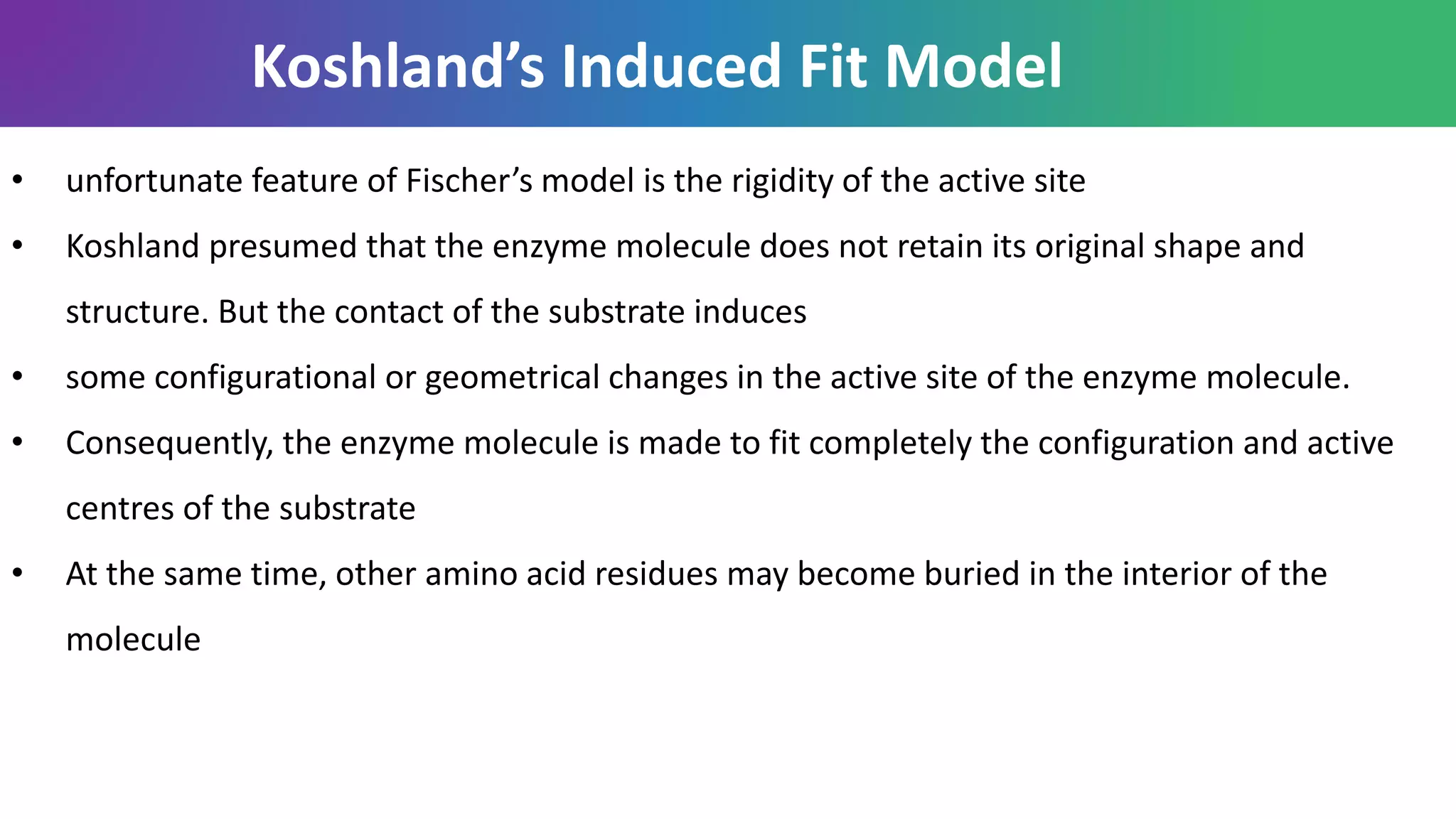 Koshland’s Induced Fit Model
• unfortunate feature of Fischer’s model is the rigidity of the active site
• Koshland presumed that the enzyme molecule does not retain its original shape and
structure. But the contact of the substrate induces
• some configurational or geometrical changes in the active site of the enzyme molecule.
• Consequently, the enzyme molecule is made to fit completely the configuration and active
centres of the substrate
• At the same time, other amino acid residues may become buried in the interior of the
molecule
 