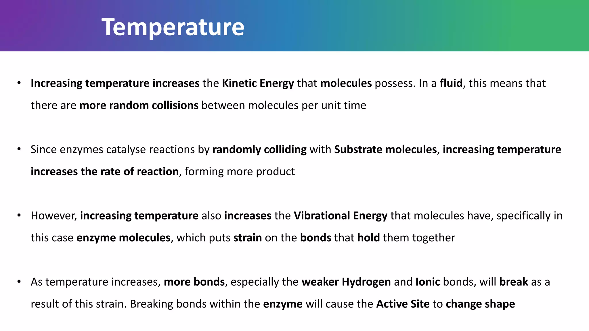 • Increasing temperature increases the Kinetic Energy that molecules possess. In a fluid, this means that
there are more random collisions between molecules per unit time
• Since enzymes catalyse reactions by randomly colliding with Substrate molecules, increasing temperature
increases the rate of reaction, forming more product
• However, increasing temperature also increases the Vibrational Energy that molecules have, specifically in
this case enzyme molecules, which puts strain on the bonds that hold them together
• As temperature increases, more bonds, especially the weaker Hydrogen and Ionic bonds, will break as a
result of this strain. Breaking bonds within the enzyme will cause the Active Site to change shape
Temperature
 