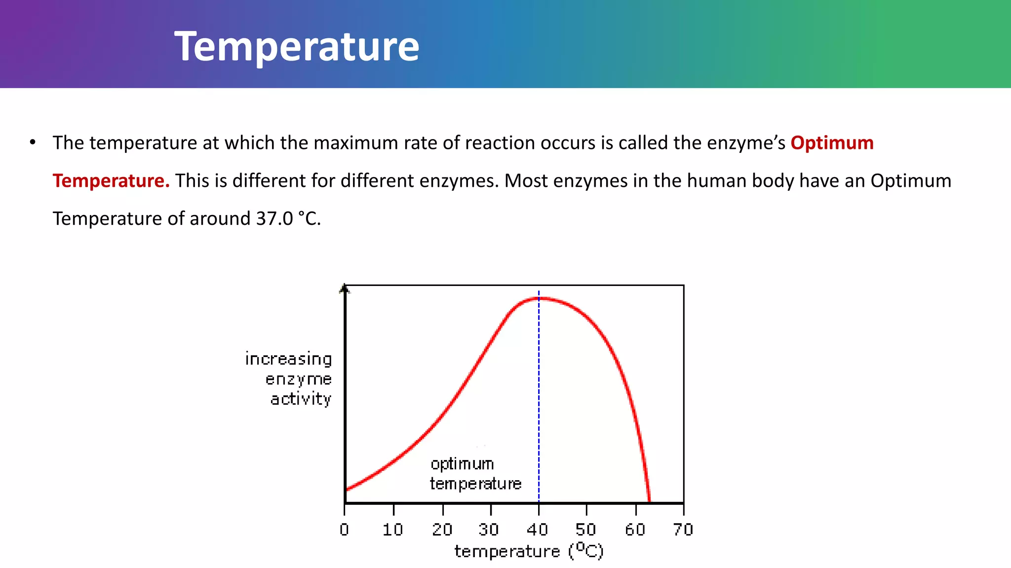 • The temperature at which the maximum rate of reaction occurs is called the enzyme’s Optimum
Temperature. This is different for different enzymes. Most enzymes in the human body have an Optimum
Temperature of around 37.0 °C.
Temperature
 