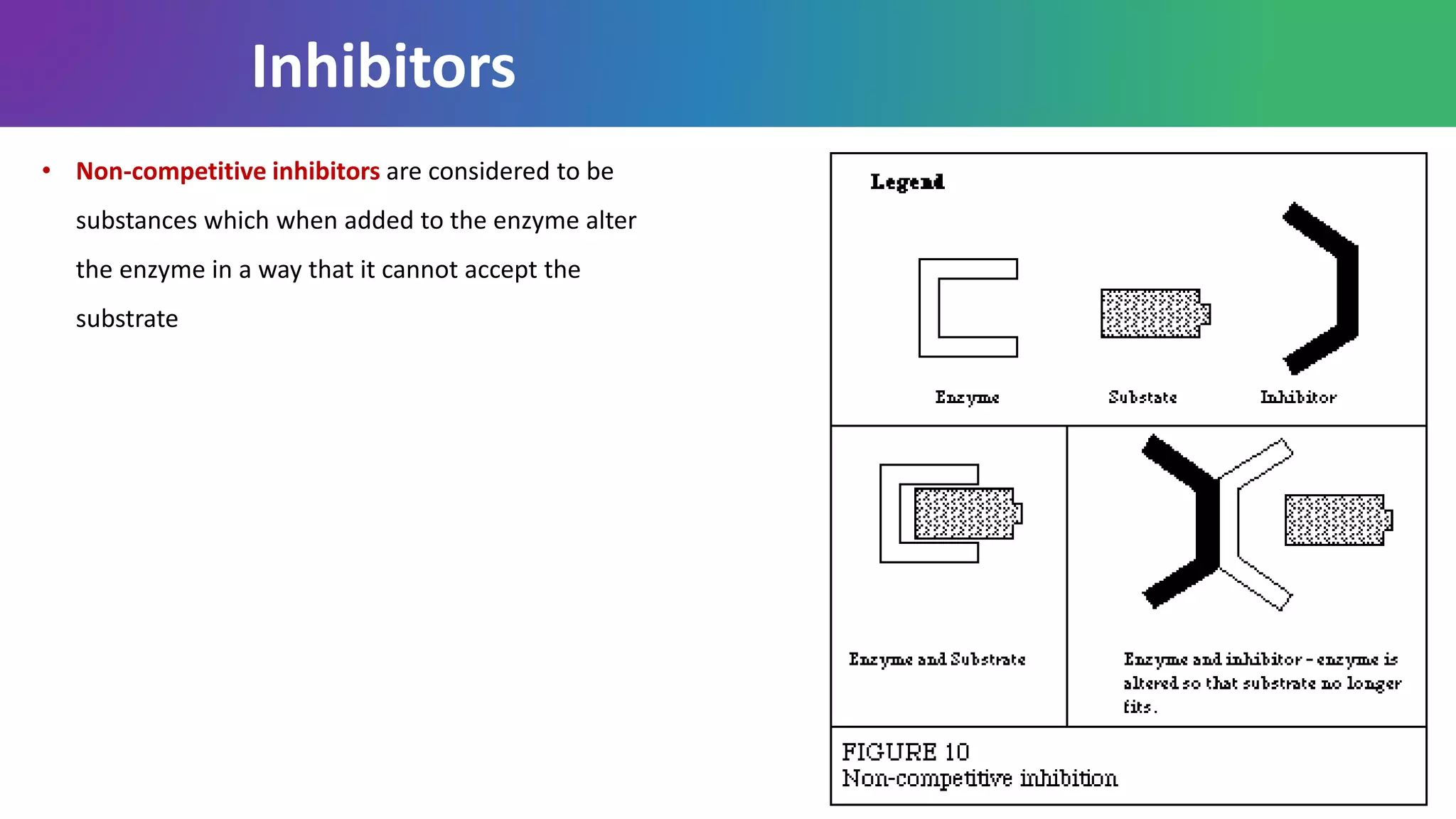 • Non-competitive inhibitors are considered to be
substances which when added to the enzyme alter
the enzyme in a way that it cannot accept the
substrate
Inhibitors
 