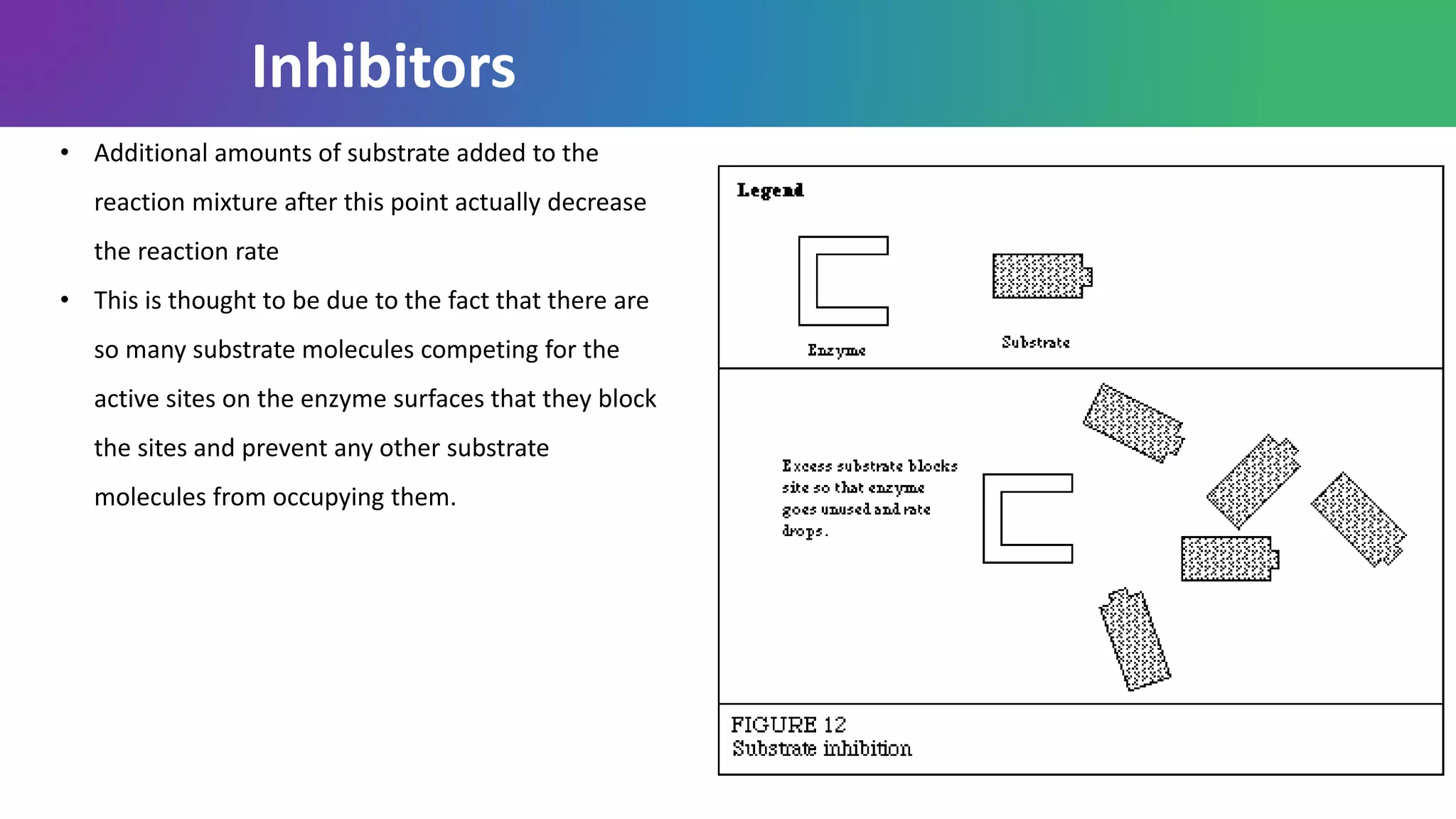 • Additional amounts of substrate added to the
reaction mixture after this point actually decrease
the reaction rate
• This is thought to be due to the fact that there are
so many substrate molecules competing for the
active sites on the enzyme surfaces that they block
the sites and prevent any other substrate
molecules from occupying them.
Inhibitors
 