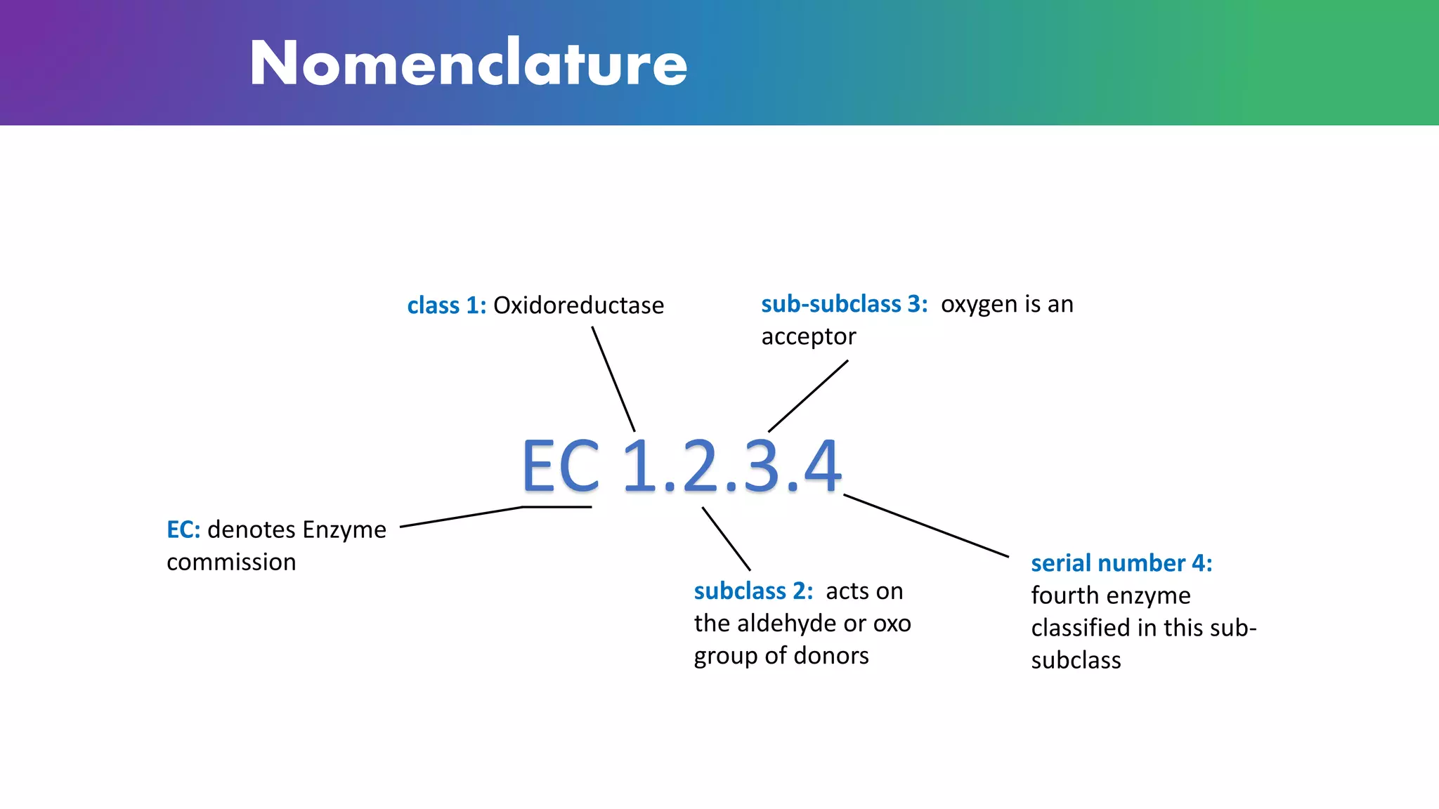 Nomenclature
EC 1.2.3.4
EC: denotes Enzyme
commission
class 1: Oxidoreductase
subclass 2: acts on
the aldehyde or oxo
group of donors
sub-subclass 3: oxygen is an
acceptor
serial number 4:
fourth enzyme
classified in this sub-
subclass
 
